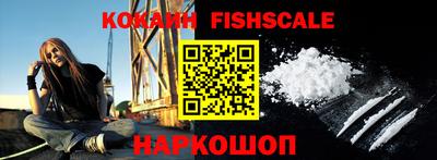 индика Кандалакша