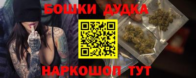 индика Кандалакша