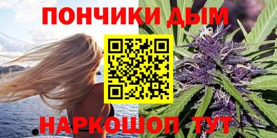 индика Кандалакша