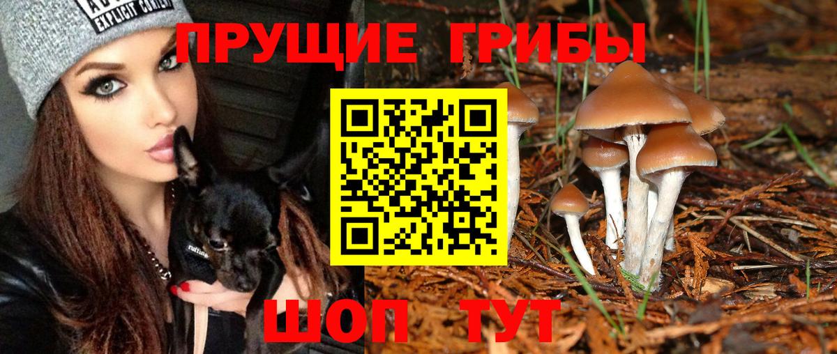 Псилоцибиновые грибы мицелий Кызыл