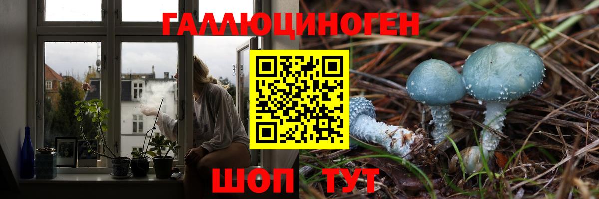 Кызыл  Галлюциногенные грибы Psilocybe  Вход с VPN 